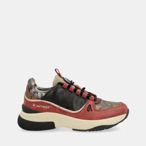 Baskets Sport, multicolore