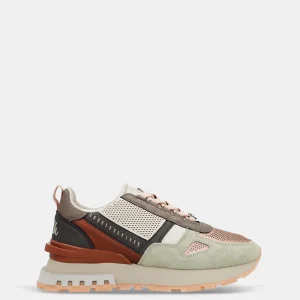 Sneakers multicolores