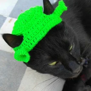 Shrek Cat - Accessoire crocheté main chat