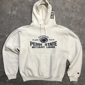 Sweat à capuche Champion